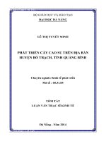 Phát triển cây cao su trên địa bàn huyện Bố Trạch, tỉnh Quảng Bình