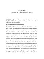 Quan điểm về ông chủ lý tưởng theo ý kiến của bạn là gì