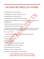 8 dạng đề nghị luận văn học thường gặp trong kỳ thi thpt quốc gia