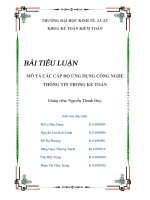 Tiểu luận Mô tả các cấp độ ứng dụng công nghệ thông tin trong kế toán