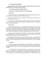 Hướng dẫn học sinh kĩ năng vẽ và nhận xét biểu đồ hình tròn