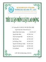 Tiểu luận môn Luật lao động Vấn đề thực hiện và chấm dứt hợp đồng lao động