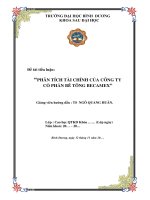 Tiểu luận Phân tích tài chính của công ty cổ phần Bê tông Becamex