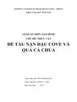 giáo án tạo hình lớp chồi