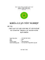 Chế Tạo Vật Liệu Hấp Phụ Từ Lõi Ngô Để Xử Lý Ion Pb2+ Trong Các Nguồn Nước Bị Ô Nhiễm