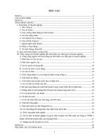 Phương Án Cổ Phần Hóa Công Ty TNHH 1 Thành Viên Kinh Doanh Nước Sạch Quảng Ninh