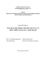 2013 CD 10 xay dung chi tieu quan ly  phat trien nang luc canh tranh quan hai 