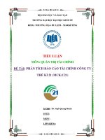 Tiểu luận Phân tích báo cáo tài chính Công ty thế kỉ 21