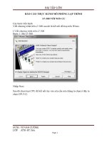 BÁO cáo THỰC HÀNH mô PHỎNG lập TRÌNH