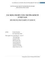 Tiểu luận Tác động của FDI đến tăng trưởng kinh tế ở Việt Nam