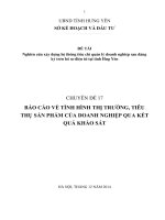 2014 CD 17 báo cáo tình hình thị trường, tiêu thụ sản phẩm của doanh nghiệp qua kết quả khảo sát 