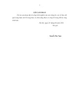 ĐẶC ĐIỂM QUẶNG HÓA VÀ TIỀM NĂNG TÀI NGUYÊN VÀNG GỐC KHU VỰC HUỔI CỌ  BẢN TANG, NGHỆ AN