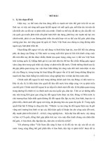 Tiểu luận: chinh sach doi ngoai viet nam thoi ky hoi nhap