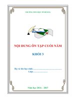 bộ đề ôn thi cuối năm lớp 3