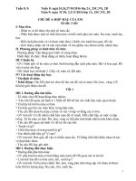 Giáo án mĩ thuật Đan mạch 2