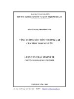 Tăng cường xúc tiến thương mại của tỉnh Thái Nguyên (LV thạc sĩ)