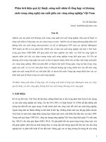 phân tích hiệu quả kỹ thuật, năng suất nhân tố tổng hợp và khoảng cách trong công nghệ sản xuất giữa các vùng nông nghiệp việt nam