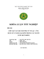 Chế Tạo Vật Liệu Hấp Phụ Từ Vỏ Lạc - Ứng Dụng Xử Lý Kim Loại Kẽm Trong Các Nguồn Nước Bị Ô Nhiễm