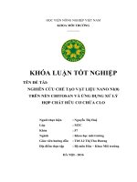 Nghiên Cứu Chế Tạo Vật Liệu NANO NI(0) Trên Nền Chitosan Và Ứng Dụng Xử Lý Hợp Chất Hữu Cơ Chứa Clo