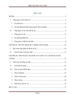 Thiết kế máy sấy hầm khoai mì lát với năng suất 2000kg tươih