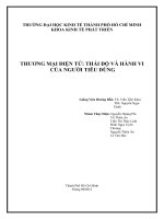 Tiểu luận Thương mại điện tử Thái độ và hành vi người tiêu dùng