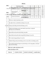 Bài tiểu luận thiết kế hình học và cảnh quan môi trường đường ô tô