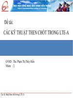 Các kỹ thuật then chốt trong LTE advanced