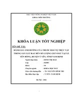 Đánh Giá Ảnh Hưởng Của Thuốc Bảo Vệ Thực Vật Trong Sản Xuất Rau Đến Số Lượng Giun Đất Tại Xã Yên Đồng, Ý Yên, Tỉnh Nam Định