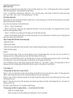 CÁC CÁCH VẼ BIỂU ĐỒ VÀ NHẬN XÉT