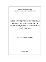 Nghiên cứu hệ thống chỉ tiêu phân tích hiệu quả kinh doanh tại các doanh nghiệp sản xuất và chế biến sữa ở Việt Nam (LA tiến sĩ)
