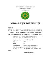 Đánh Giá Hiện Trạng Phế Thải Đồng Ruộng Và Xử Lý Rơm Rạ Bằng Chế Phẩm Sinh Học Thành Phân Bón Hữu Cơ Tại Xã Quỳnh Phú, Bắc Ninh