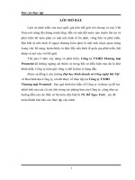 Giải pháp nâng cao hiệu quả kinh doanh công ty Prometal