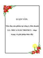 Tiêu thụ sản phẩm tại công ty liên doanh LG- MECA ELECTRONICS – thực trạng và giải pháp thúc đẩy