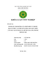 Đánh Giá Ảnh Hưởng Của Phân Bón Và Thuốc Bảo Vệ Thực Vật Đến Số Lượng Giun Đát Trên Cây Rau Tại Xã Đặng Xá, Gia Lâm, Hà Nội