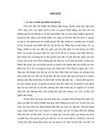 tiến trình của cuộc đấu tranh giải phóng dân tộc và giải phóng giai cấp ở việt nam cuối thế kỷ XIX đầu thế kỷ XX  tiểu luận cao học