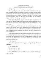 SKKN Phát triển năng lực học sinh thông qua cách giải bài tập Hóa học ở cấp THCS