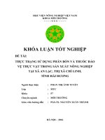 Thực Trạng Sử Dụng Phân Bón Và Thuốc Bảo Vệ Thực Vật Trong Sản Xuất Nông Nghiệp Tại Xã An Lạc, Chí Linh, Hải Dương