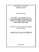 Cấu trúc tài chính của các doanh nghiệp ngành dệt may ở khu vực miền Trung trong tiến trình hội nhậ