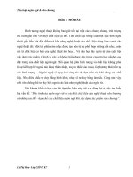 Tiểu luận Ngôn ngữ và văn chương