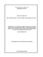 Nghiên cứu các chủng vi khuẩn Bacillus có khả năng phân giải hợp chất hữu cơ nhằm ứng dụng trong xử lý nước thải từ khu công nghiệp dịch vụ thủy sản Thọ Quang, Đà Nẵng