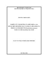 Nghiên cứu ảnh hưởng của điều kiện ex vitro đến sự biến đổi hình thái và sinh lý, sinh hoá của phong lan Phi điệp tím (Dendrobium anosmum) nuôi cấy mô giai đoạn ra ngôi