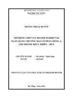 Mở rộng cho vay doanh nghiệp tại Ngân hàng Thương mại Cổ phần Đông Á, chi nhánh Thừa Thiên Hu