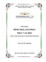 Hình thái Giải phẩu thực vật bài giảng dành cho sinh viên
