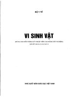 VI SINH VAT BYT DOAN THI NGUYEN