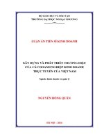 Xây dựng và phát triển thương hiệu của các doanh nghiệp kinh doanh trực tuyến của Việt Nam (LA tiến sĩ)