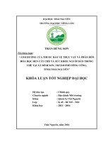 Ảnh hưởng của thuốc bảo vệ thực vật và phân bón hóa học đến cây chè và sức khỏe của người dân trồng chè tại xã bình sơn   thành phố sông công   tỉnh thái nguyên 