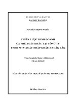 Chiến lược kinh doanh cà phê xuất khẩu tại Công ty TNHH MTV Xuất nhập khẩu 2 - 9 Đắk Lắk