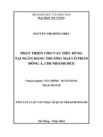 Phát triển cho vay tiêu dùng tại Ngân hàng Thương mại Cổ phẩn Đông Á, chi nhánh Hu