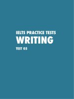 IELTS practice test 05 writing ac 