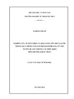 Nghiên cứu, tuyển chọn và khả năng lên men lactic trong quá trình tạo sản phẩm kombucha từ trà truyên quang trong các điều kiện môi trường khác nhau 